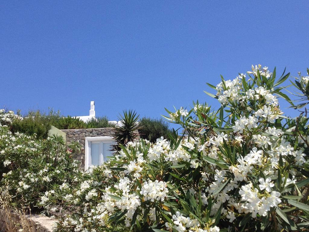 Mykonos Love Nest Ано Мера Стая снимка